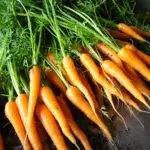 carrot tops