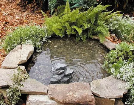 completed tyre pond