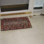 welcome mat