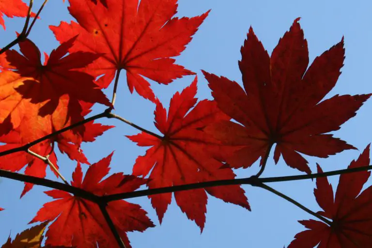 Fall Home Maintenance Checklist, Be Prepared For Winter