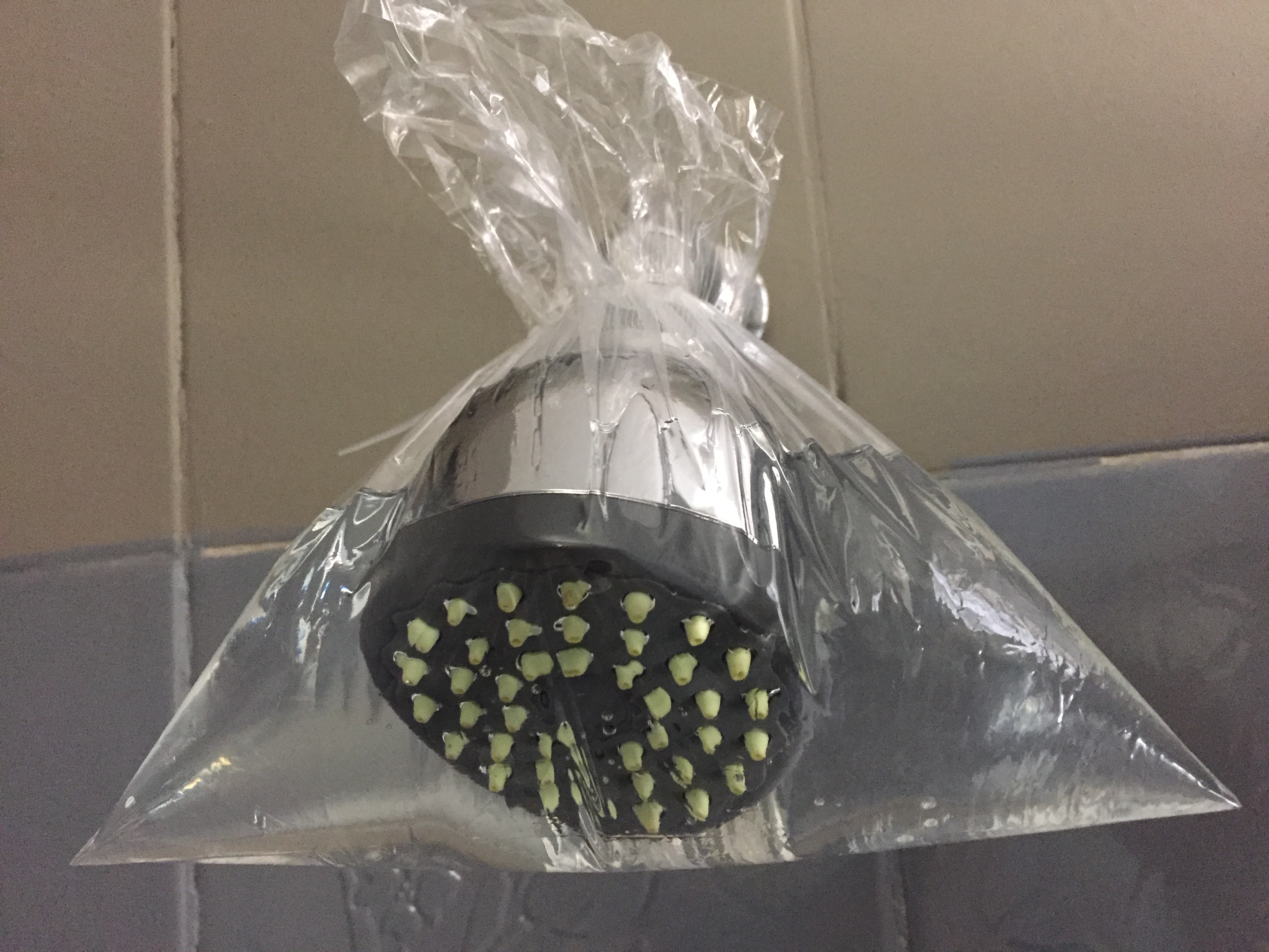 Effortlessly Clean a Blocked Shower Head The DIY Life