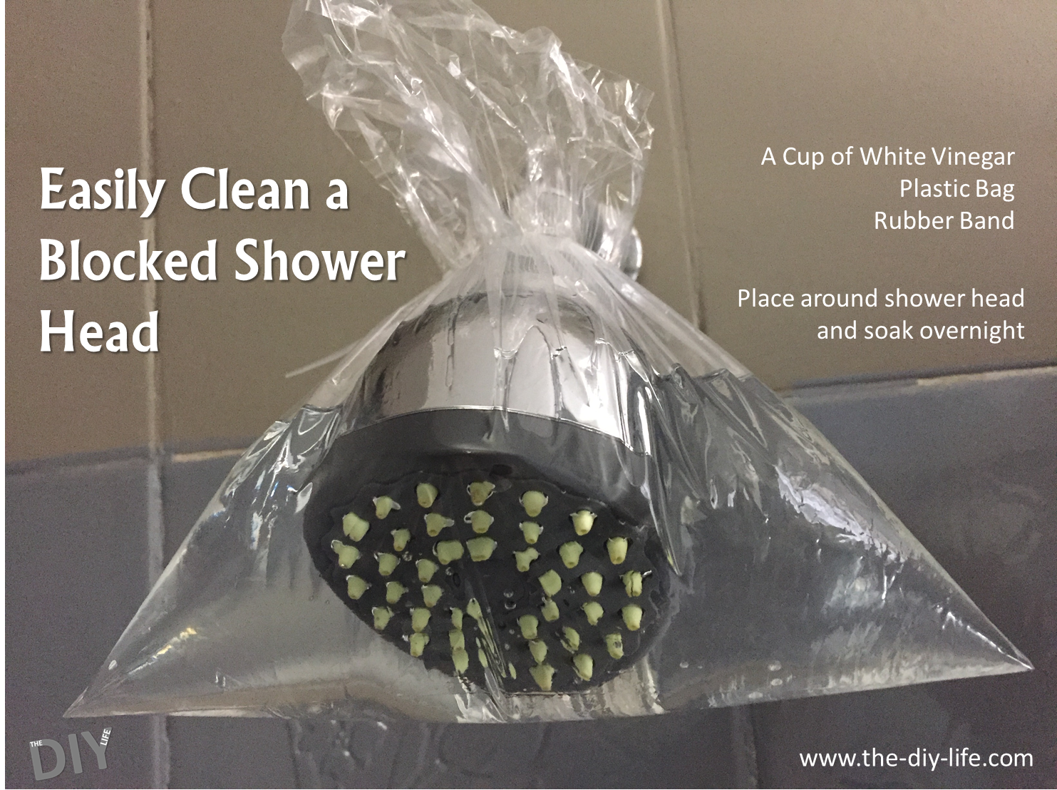 Effortlessly Clean a Blocked Shower Head  The DIY Life