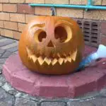 pumpkin-outside