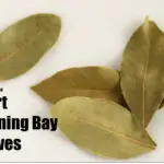 start-burning-bay-leaves-pinterest
