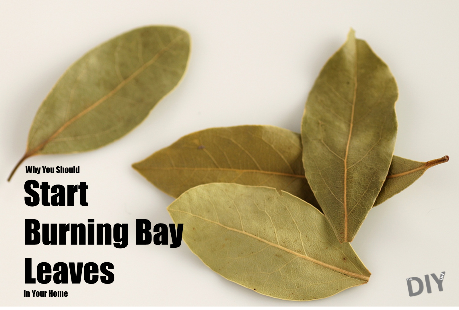start-burning-bay-leaves-pinterest