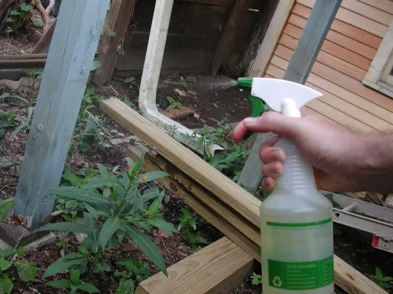 How To Make Natural Pesticides For Your Garden