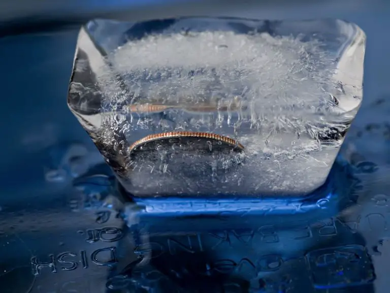 How To Tell If Your Freezer Went Off When On Vacation