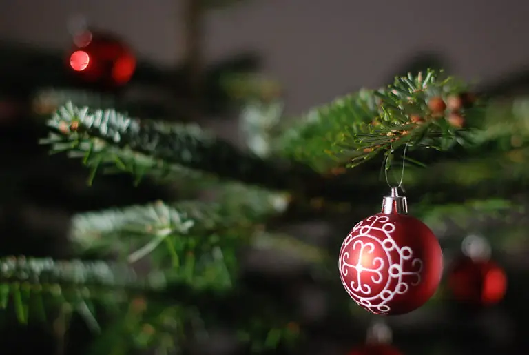 5 Christmas Tree Trends For The 2016 Season