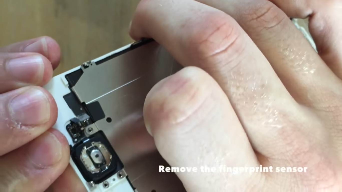 remove the fingerprint sensor