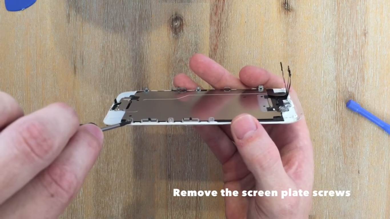 remove the screen plate screws