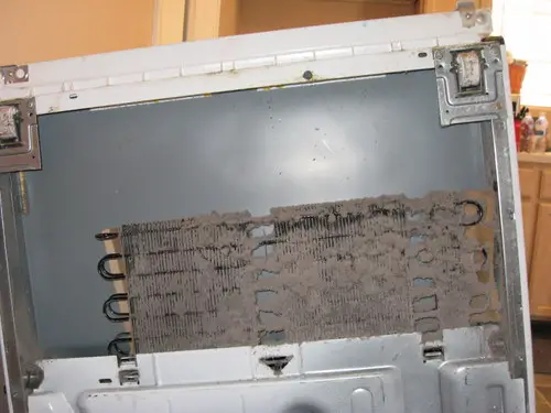 dust refrigerator coils maintenance