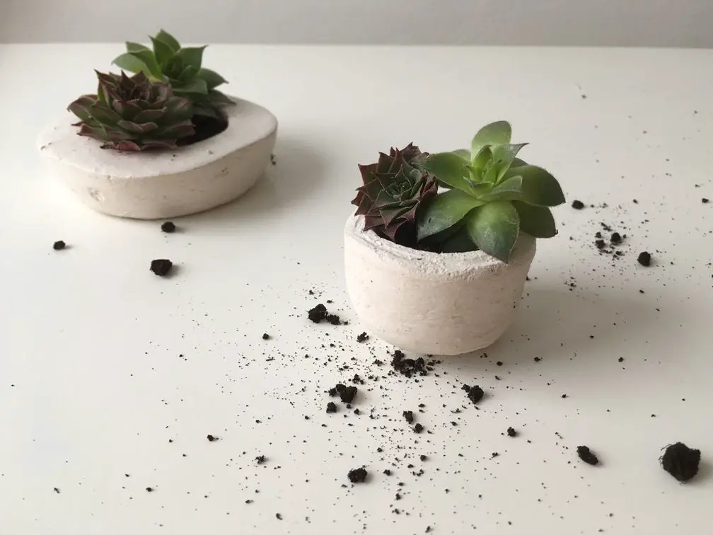 make your own concrete planters