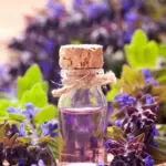 lavender essential oil for great smelling clothes