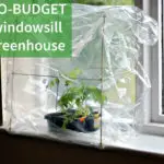 Make Your Own Super Cheap Windowsill Greenhouse