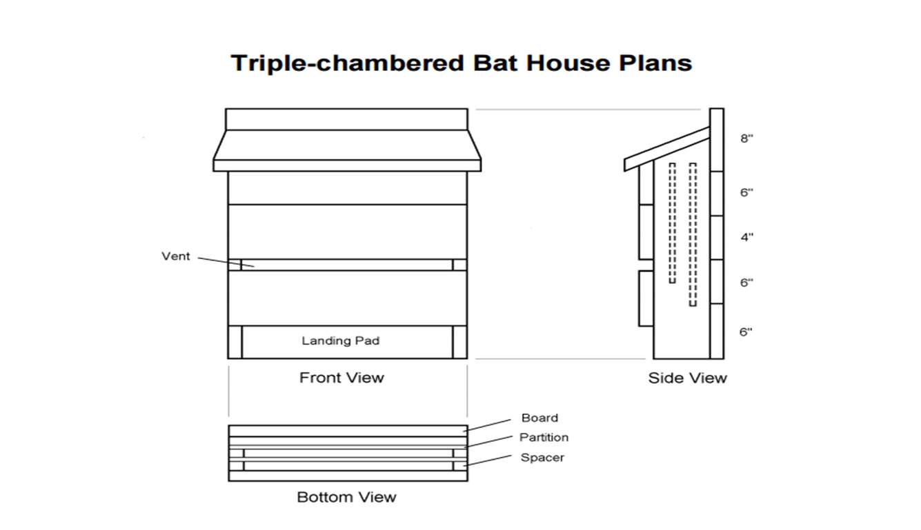 florida bat house plans