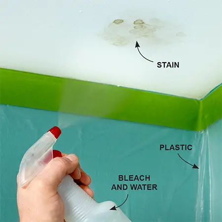 How To Get Rid Of Mould On Your Ceiling The Diy Life - How To Remove Mold From Bathroom Ceiling With Bleach