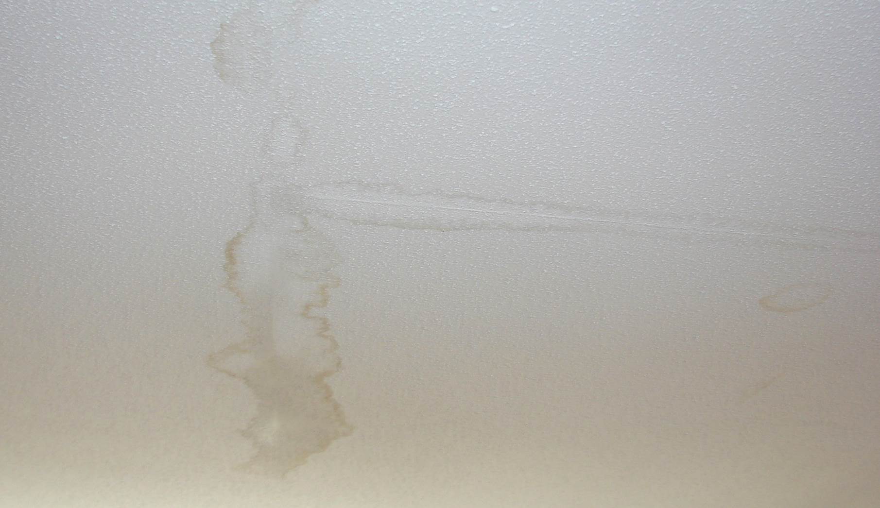 A Full DIY Guide to Water Damage Restoration