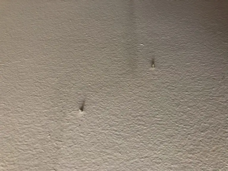 Remove Nails or Screws & Touch Up A Masonry Wall