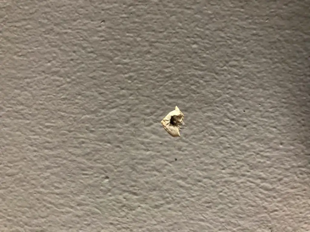 nail hole in masonry wall