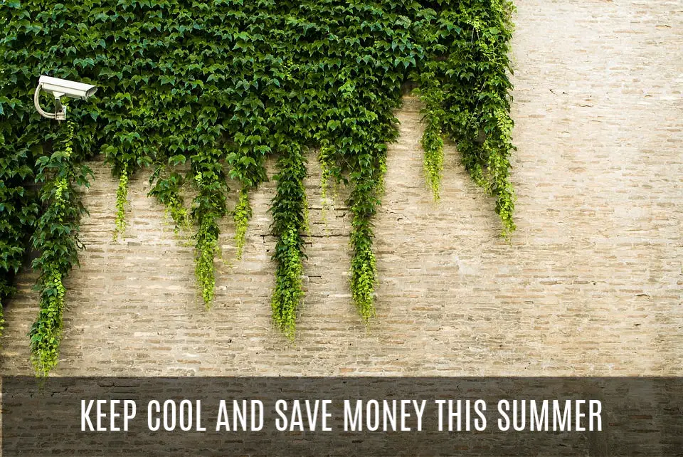 Keep Cool and Save Money This Summer With These Awesome Home Improvements