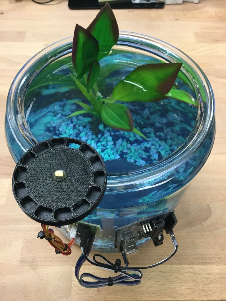 Attach Your Fish Feeder Over The Water