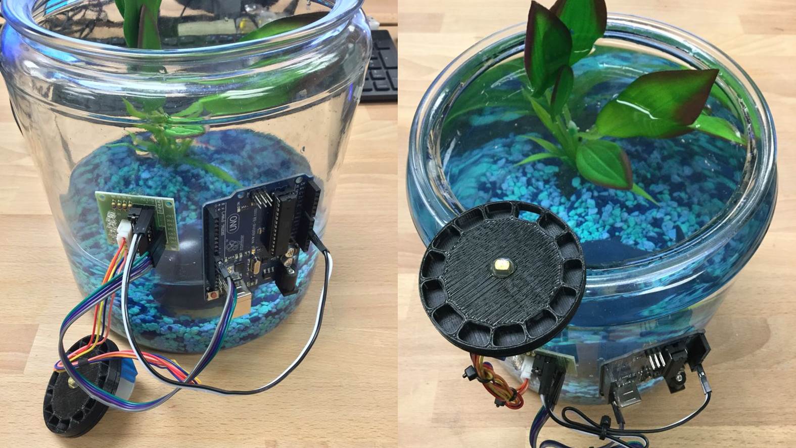 Make An Arduino Based Automatic Fish Feeder
