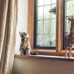 Should You Consider Wooden Window And Door Frames