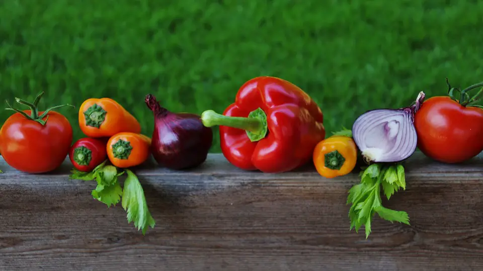 Grow Your Own Vegetables And Become More Eco-Friendly