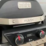 Can You Cook The Perfect Steak On An Electric BBQ? Weber Pulse Review