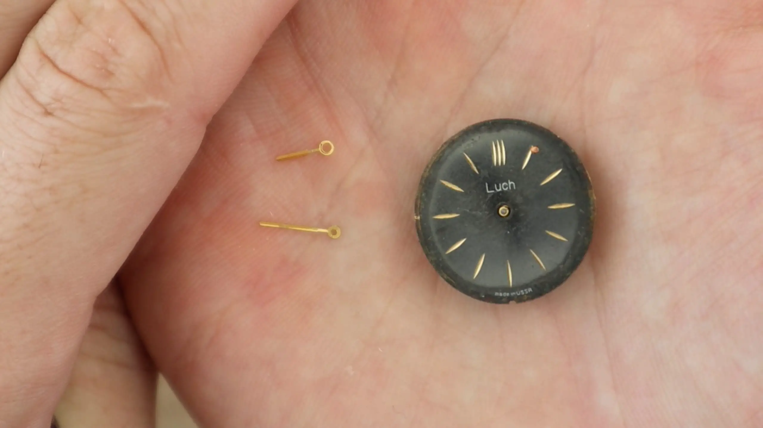 Hands Removed From Watch