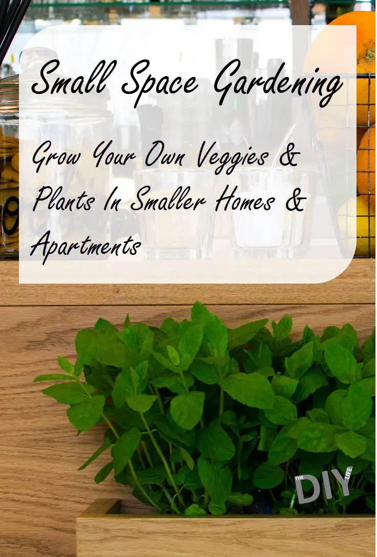 Small Space Gardening - All You Need To Know To Grow Your Own Veggies & Plants