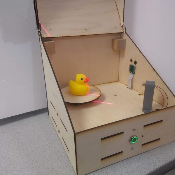 Raspberry Pi Laser Scanner Model The DIY Life