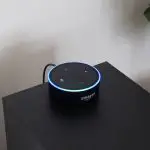 Amazon Echo Dot Remote Blind Opener