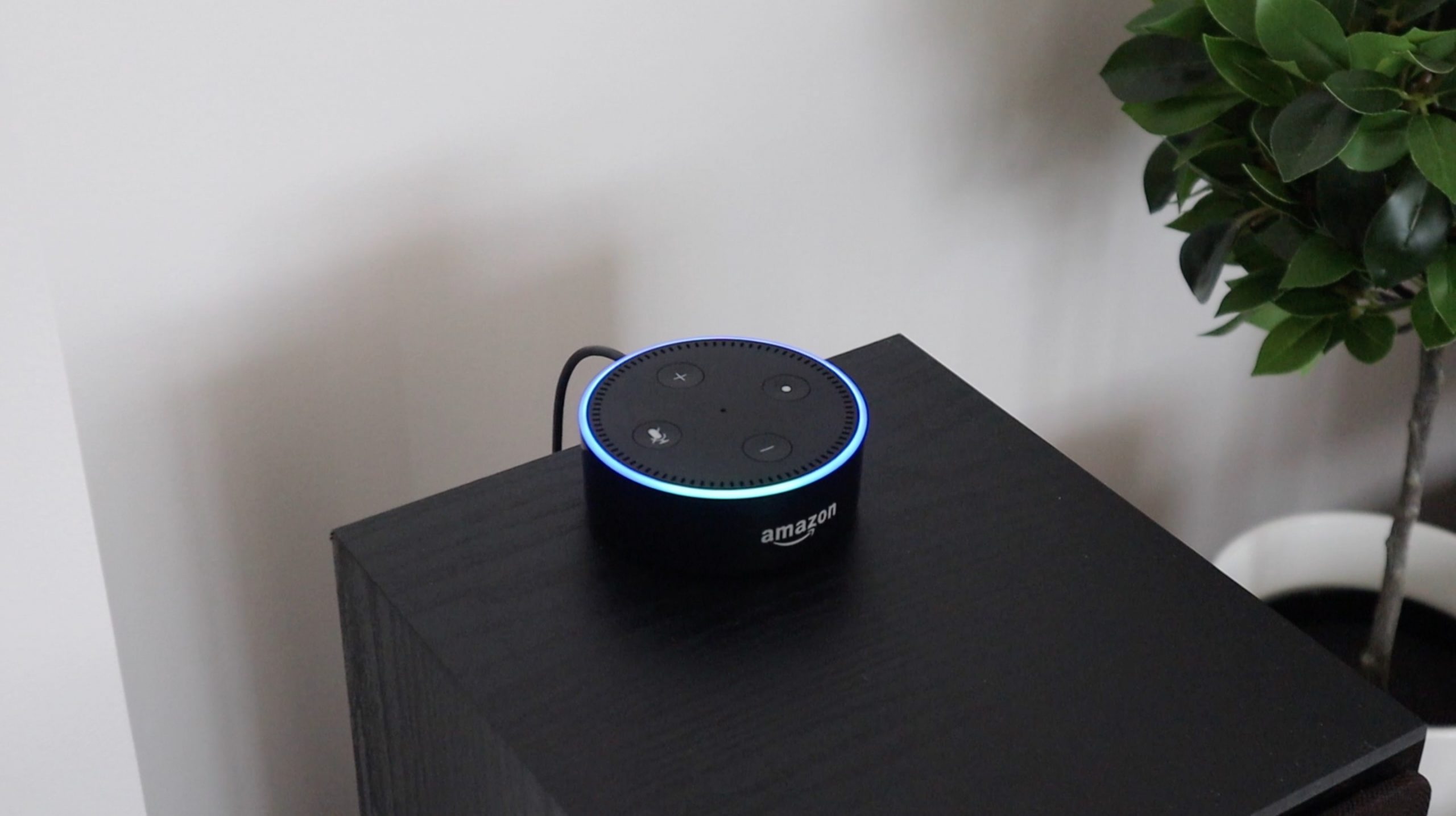 Amazon Echo Dot Remote Blind Opener