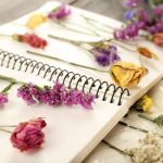 Craft With Dried Flowers