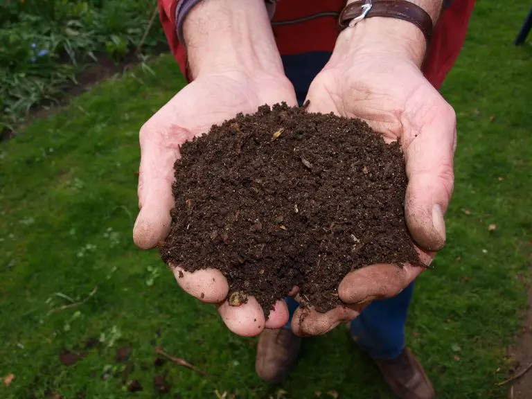 How To Make Your Own Compost – Get Your Garden To Thrive
