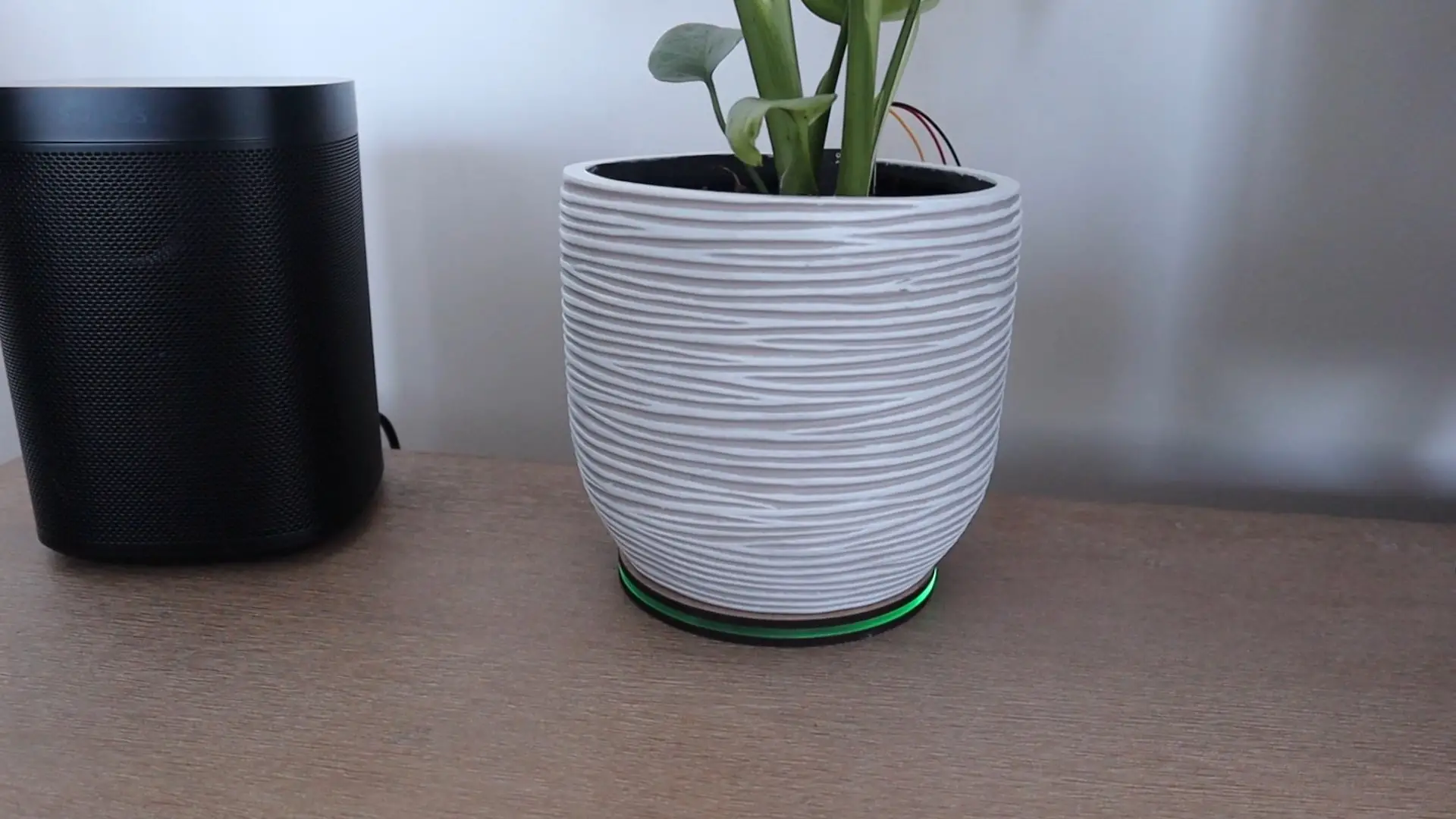 Plant Monitor On A Shelf