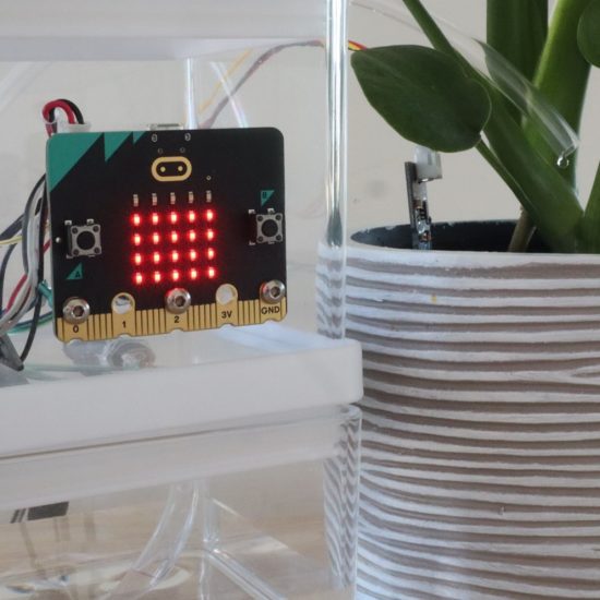 Microbit Looking After Plant The DIY Life