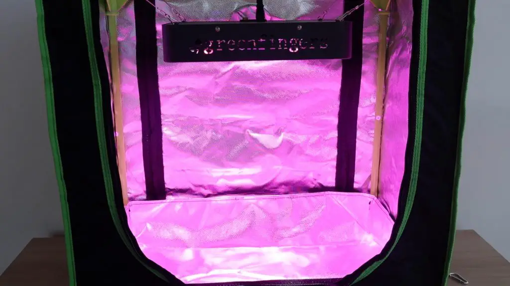 Grow Light Running