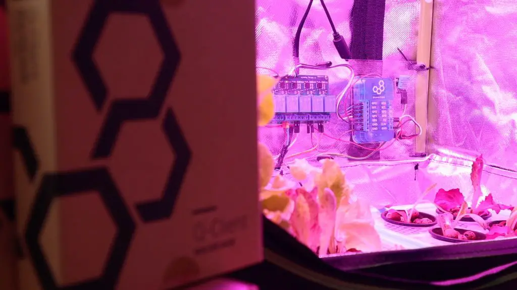 Quantum Integration Hydroponic Farm