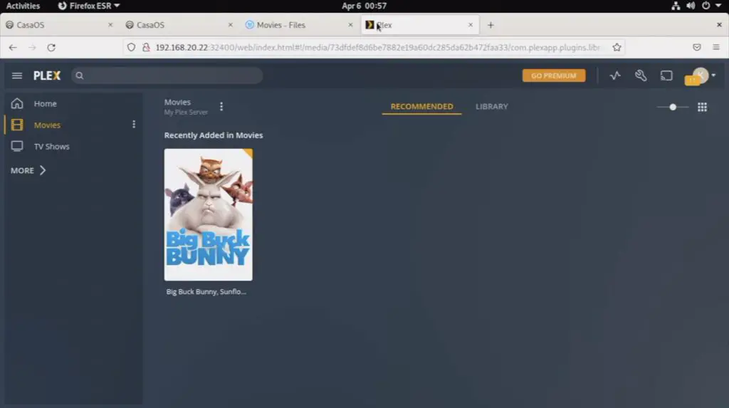 Big Buck Bunny On Plex Server