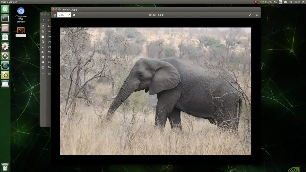 Tusker Sample Image Object Recognition