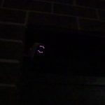 Motion Sensor on Camera