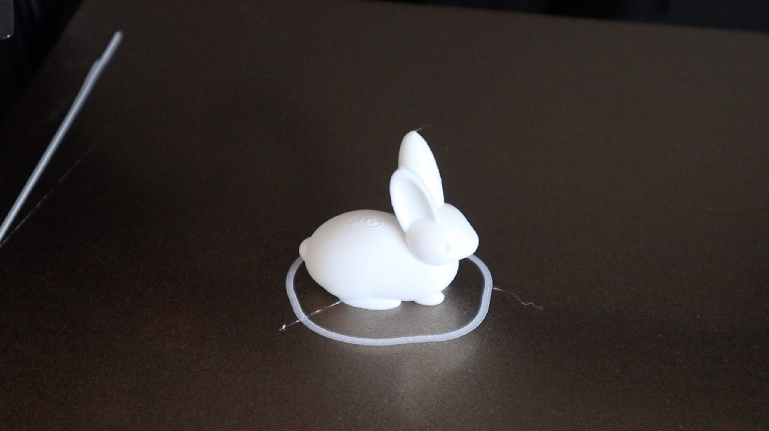 Rabbit Test Print