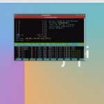 HTOP Running In Debian
