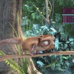 4K Playback Resource Usage