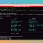 PiBenchmarks Script Results NVMe Test