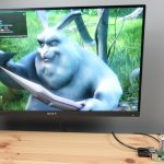 Buck Bunny Playing On Raspberry Pi