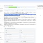 In Browser Translation