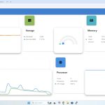 Temperature During Test